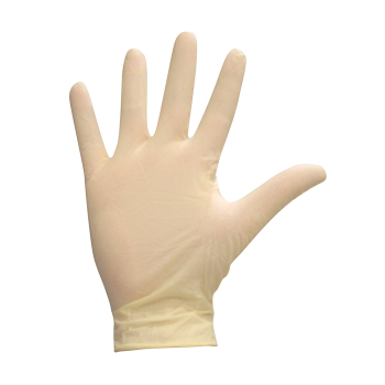 Latex Powder Free Gloves X-Large