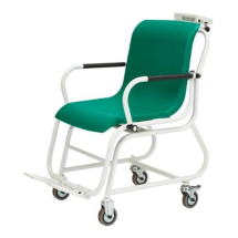 Mobility Assistance Mobility Assistance